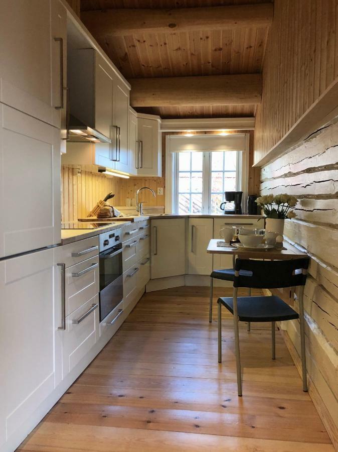 Svenskveien 23B Villa Roros Bagian luar foto